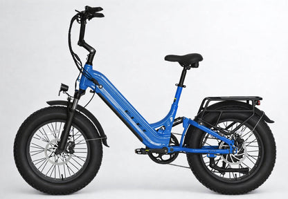 E BIKE QUEBEC